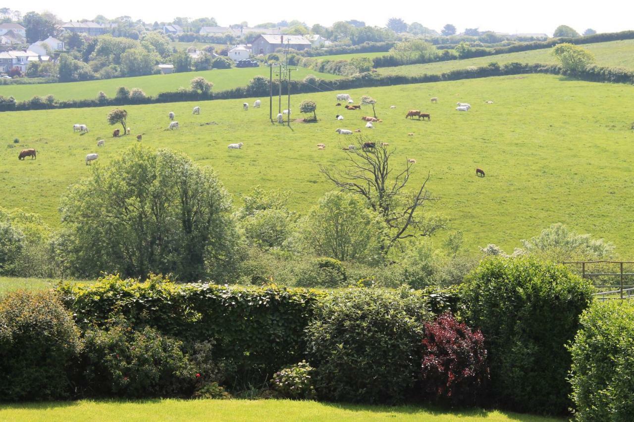 Trevanger Farm Bed And Breakfast Wadebridge Exterior foto