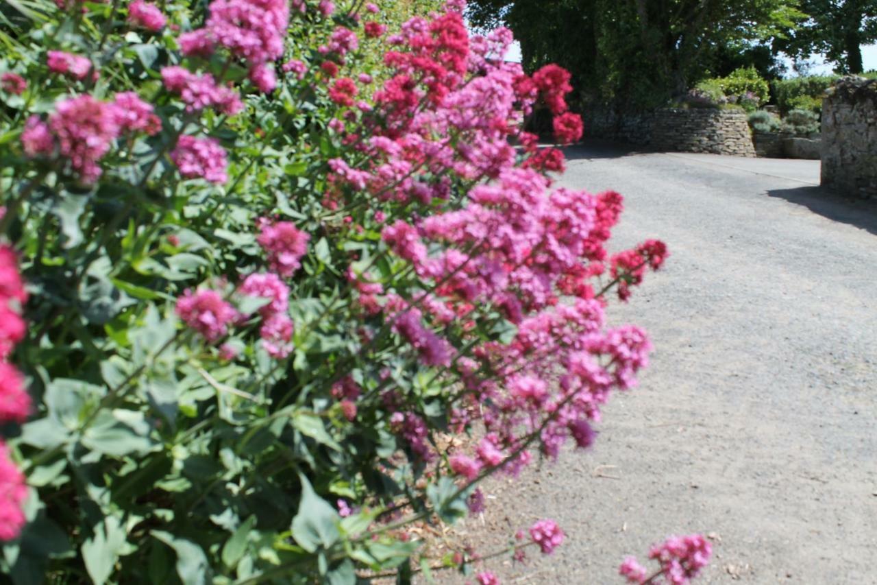 Trevanger Farm Bed And Breakfast Wadebridge Exterior foto